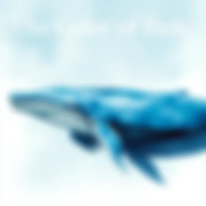 Notable The Color of Blue Whales