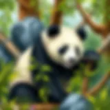 The Natural Habitat of the Panda Bear Introduction