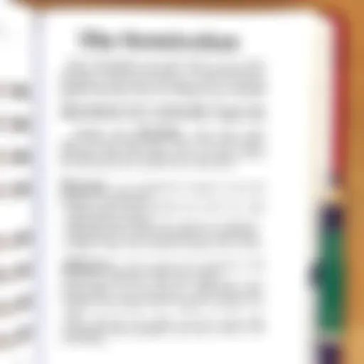 A detailed illustration of a semicolon within a sentence structure