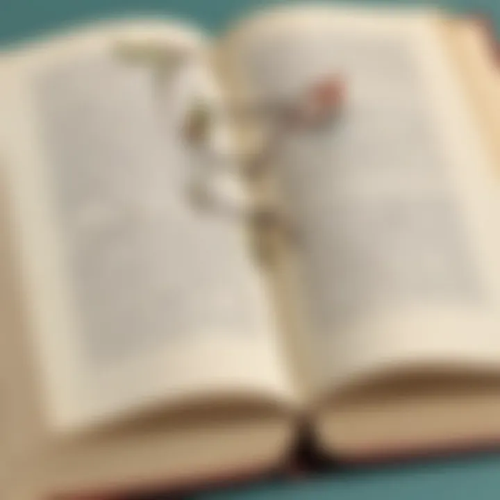An open book showcasing examples of parentheses in literature