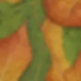 Detailed leaf structure close-up