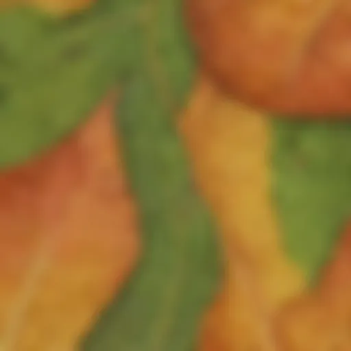 Detailed leaf structure close-up