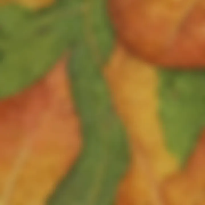 Detailed leaf structure close-up