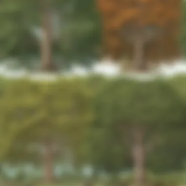Comparing tree features side by side