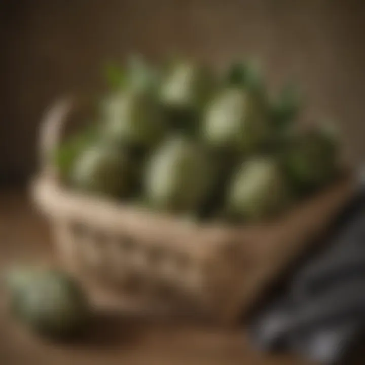 Freshly Picked Artichokes in a Basket