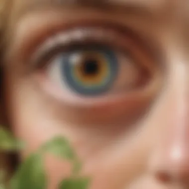 Environmental factors affecting eyesight