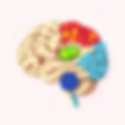 Illustration of a brain highlighting areas affected by dyslexia