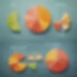 Visual representation of basic fractions