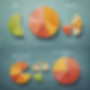 Visual representation of basic fractions