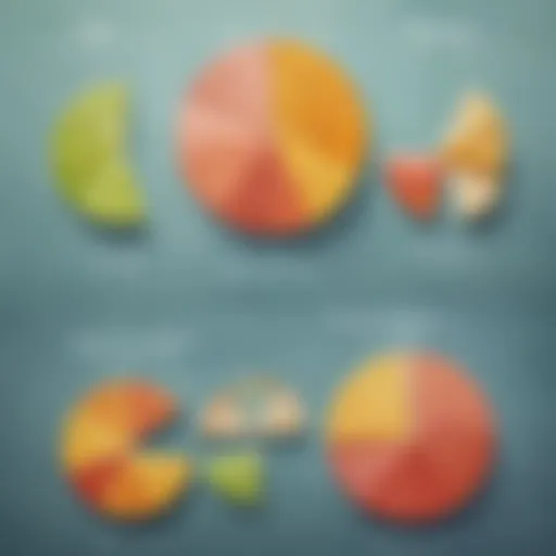 Visual representation of basic fractions