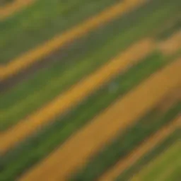 Aerial view of agricultural fields showcasing diverse crops under varying weather conditions.