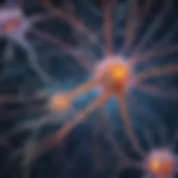 An illustration of the intricate neurons and synapses of the brain