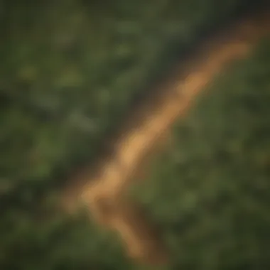Visual representation of deforestation impacts on the Amazon
