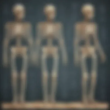 Infographic on the growth and development of bones over time