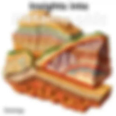 Metamorphic rocks exemplifying foliation and mineral transformation.
