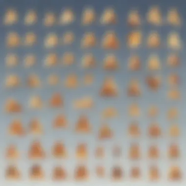Illustration of triangles classified by angles