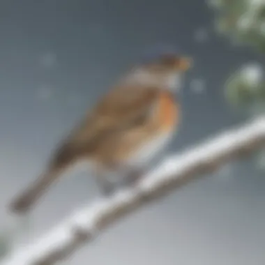 A winter bunting perched on a snowy branch.