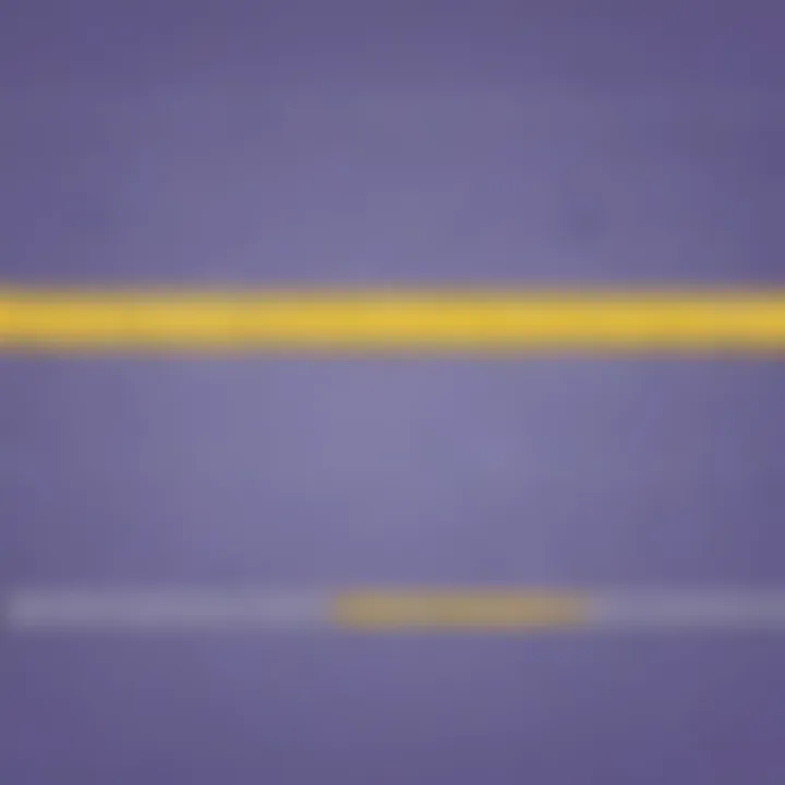 Illustration showcasing a fraction number line