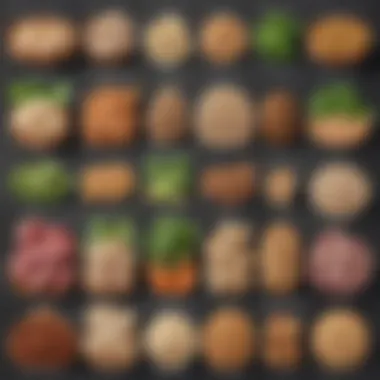 Exploring a Range of Plant-Based Protein Options Diverse selection of plant-based protein sources