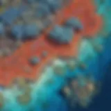 Aerial view of vibrant coral formations in the Great Barrier Reef