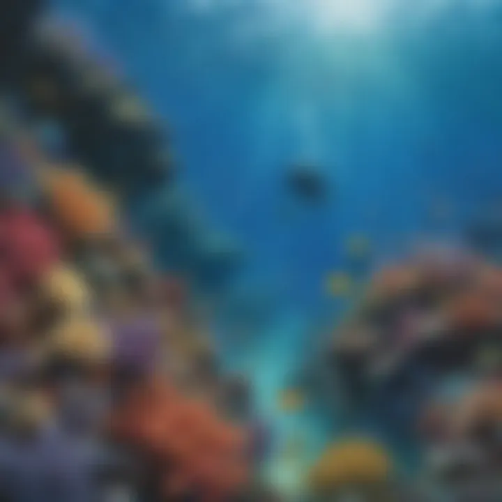 Vibrant marine life in crystal-clear Hawaiian waters
