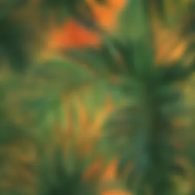 Tropical Elegance Big palm leaf against a vibrant tropical backdrop