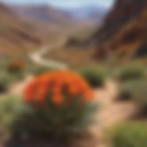 Vivid Flora Amidst Chile's Arid Landscape