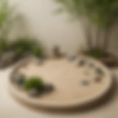 Zen garden representing inner peace and balance